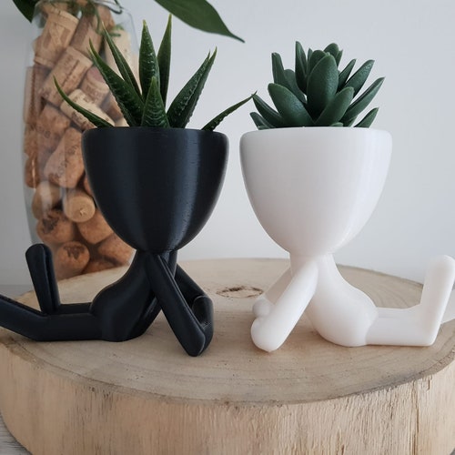 Cute Owl Planter Indoor Plant Flower Pot for Cactus and Etsy