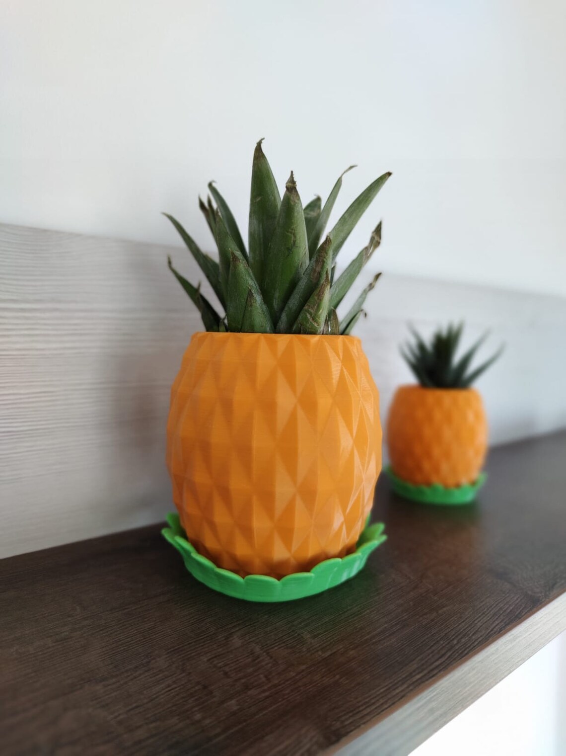 Pineapple plant Pot 3 sizes orange color Cactus and Etsy