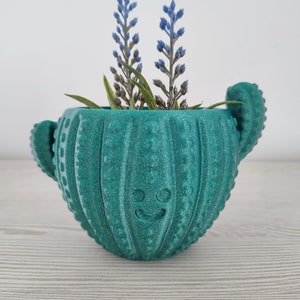 Puede incluir: Un macetero en forma de cactus de color verde azulado con una cara sonriente, que contiene una pequeña disposición de flores azules y follaje verde.
