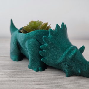 Triceratops Dinosaur Pot - Fun Decor - Succulent Planter - Original Pot - Indoor or Outdoor Plant - Air Plant