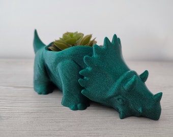 Triceratops dinosauruspot - leuk decor - sappige plantenbak - originele pot - binnen- of buitenplant - luchtplant
