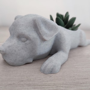Maceta adorable perro cachorro - Decoración hogar - Jardinera suculenta - Regalo - Planta animales divertidos - Planta de aire - Joyero