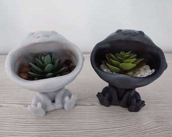 Big Headed Monkey Planter - Fun Decor - Succulent Planter - Indoor or Outdoor Plant - Garden - Air Plant