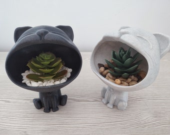 Big Headed Cat Planter - Fun Decor - Succulent Planter - Indoor or Outdoor Plant - Garden - Air Plant