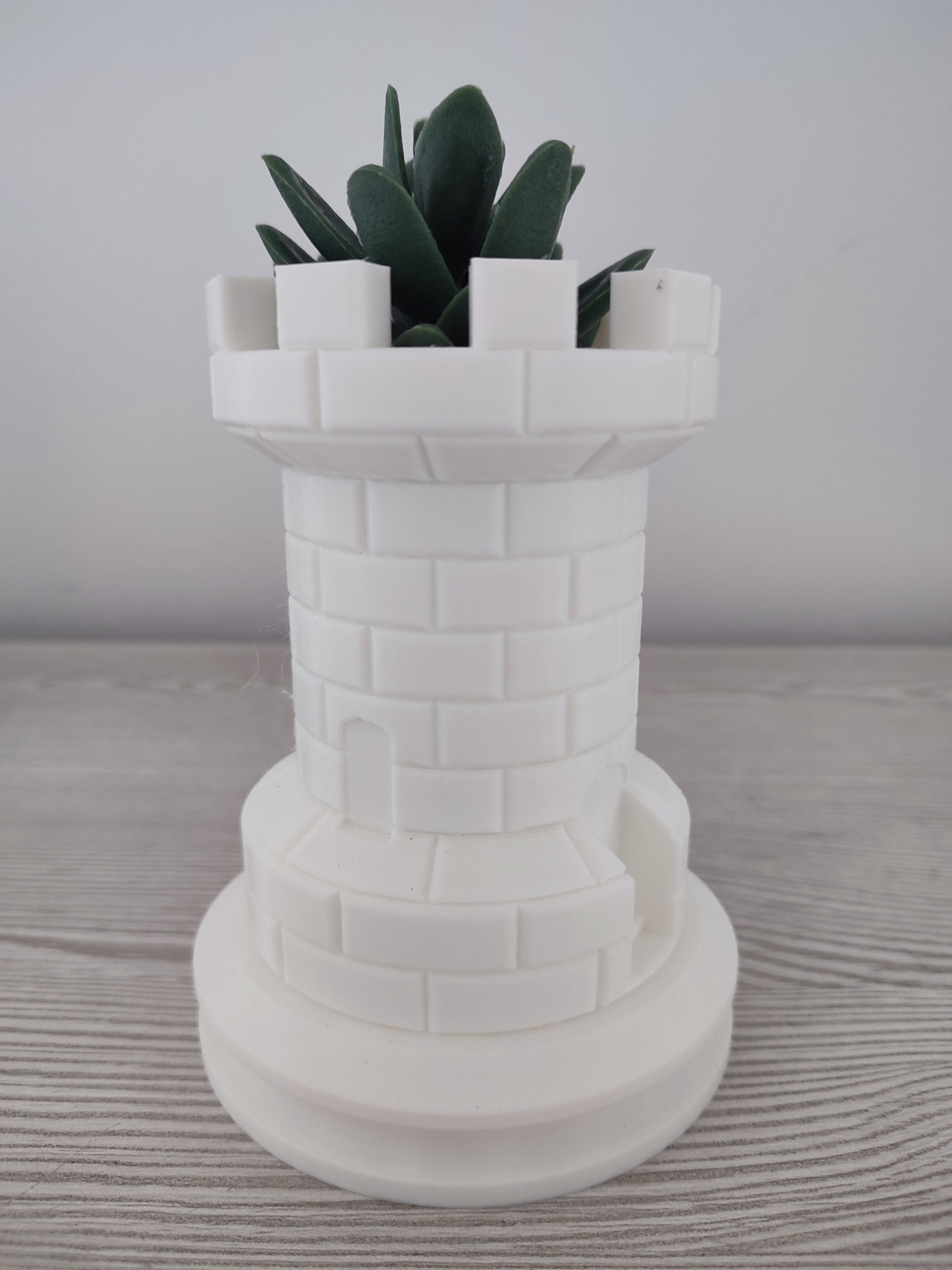 Chess Piece Pot Chess Game Tower Cactus And Succulents Indoor And chess-piece-pot-chess-game-tower-cactus-and-succulents-indoor-and