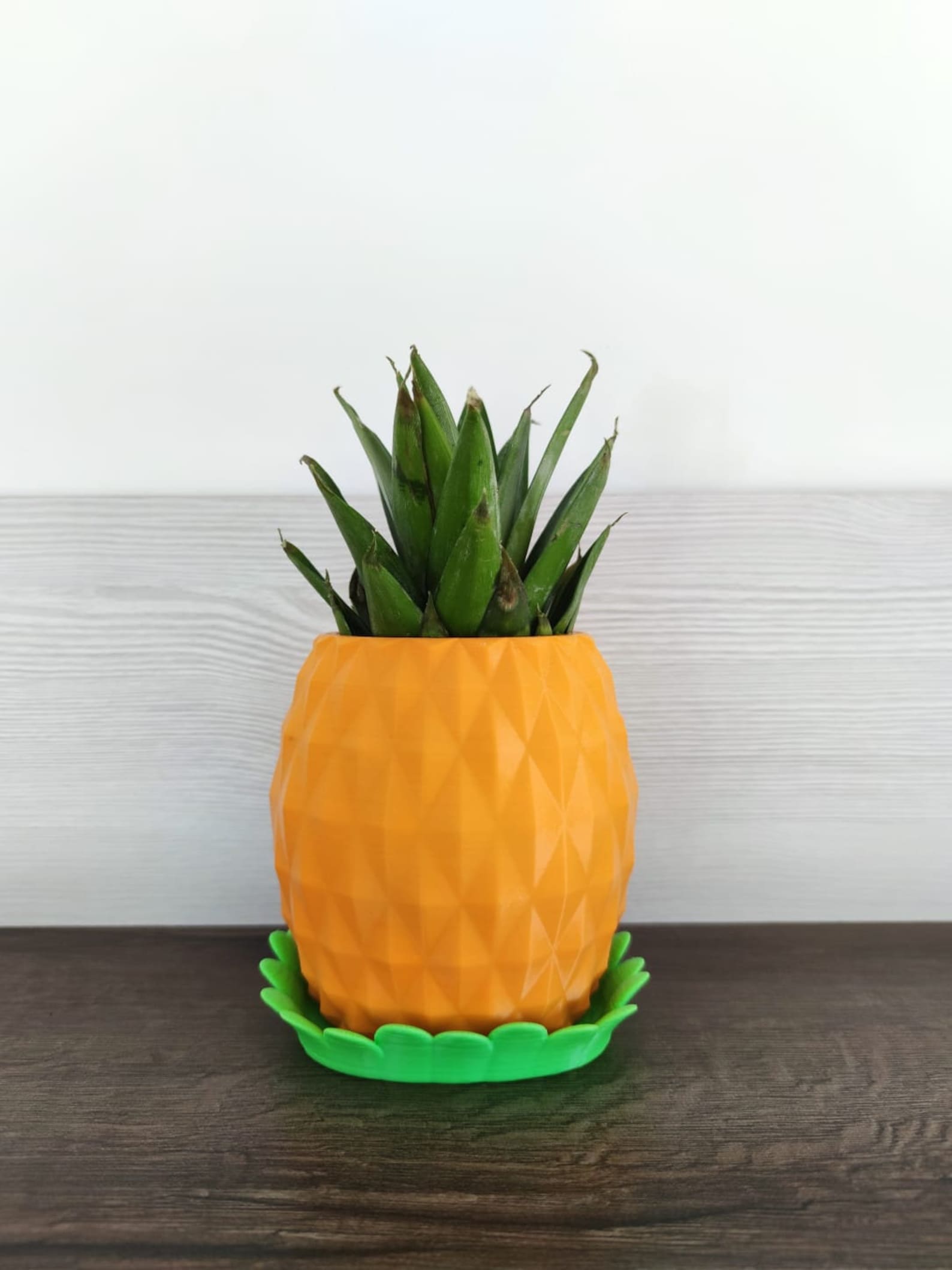 Pineapple Plant Pot 3 Sizes Orange Color Cactus and Etsy Hong Kong