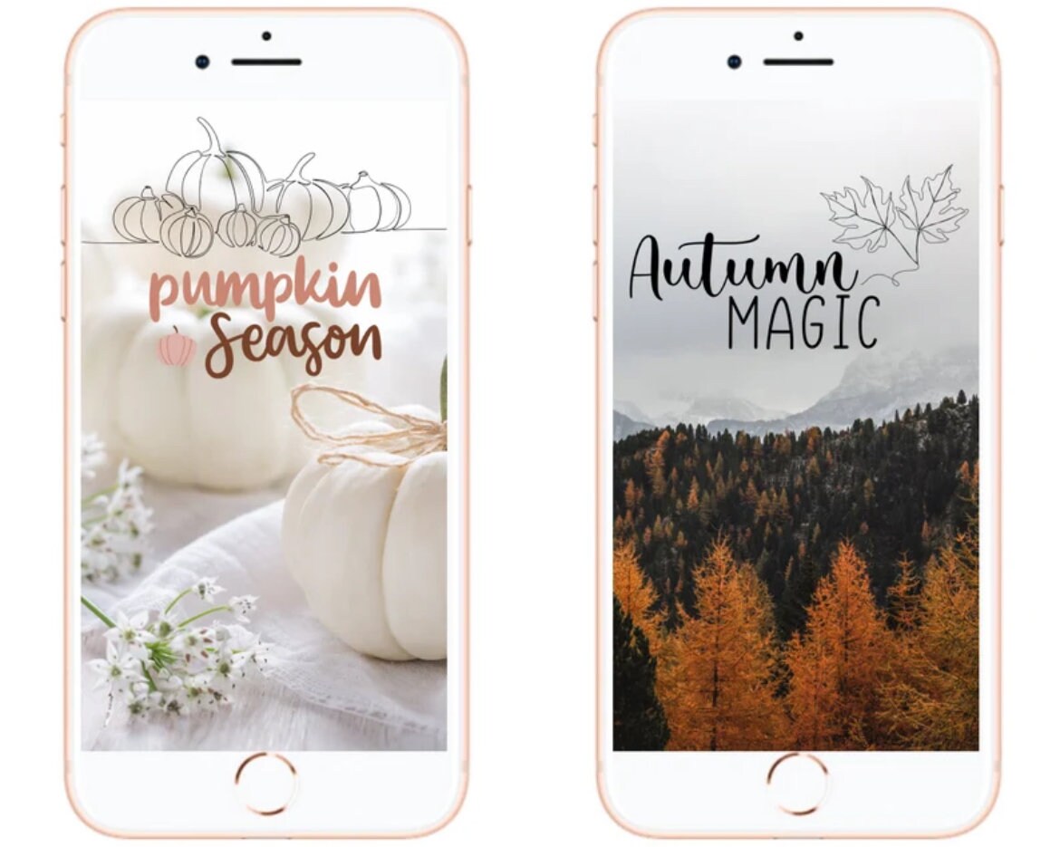 XXL Instagram Story Sticker Set | 900+ Digital Stickers for Spring ...