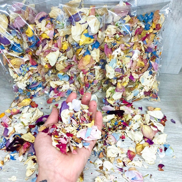 Handpicked Natural Confetti our monthly mix - Biodegradable Petals , Eco-Friendly Celebration Decor, Wedding, Party, & Event Decorations