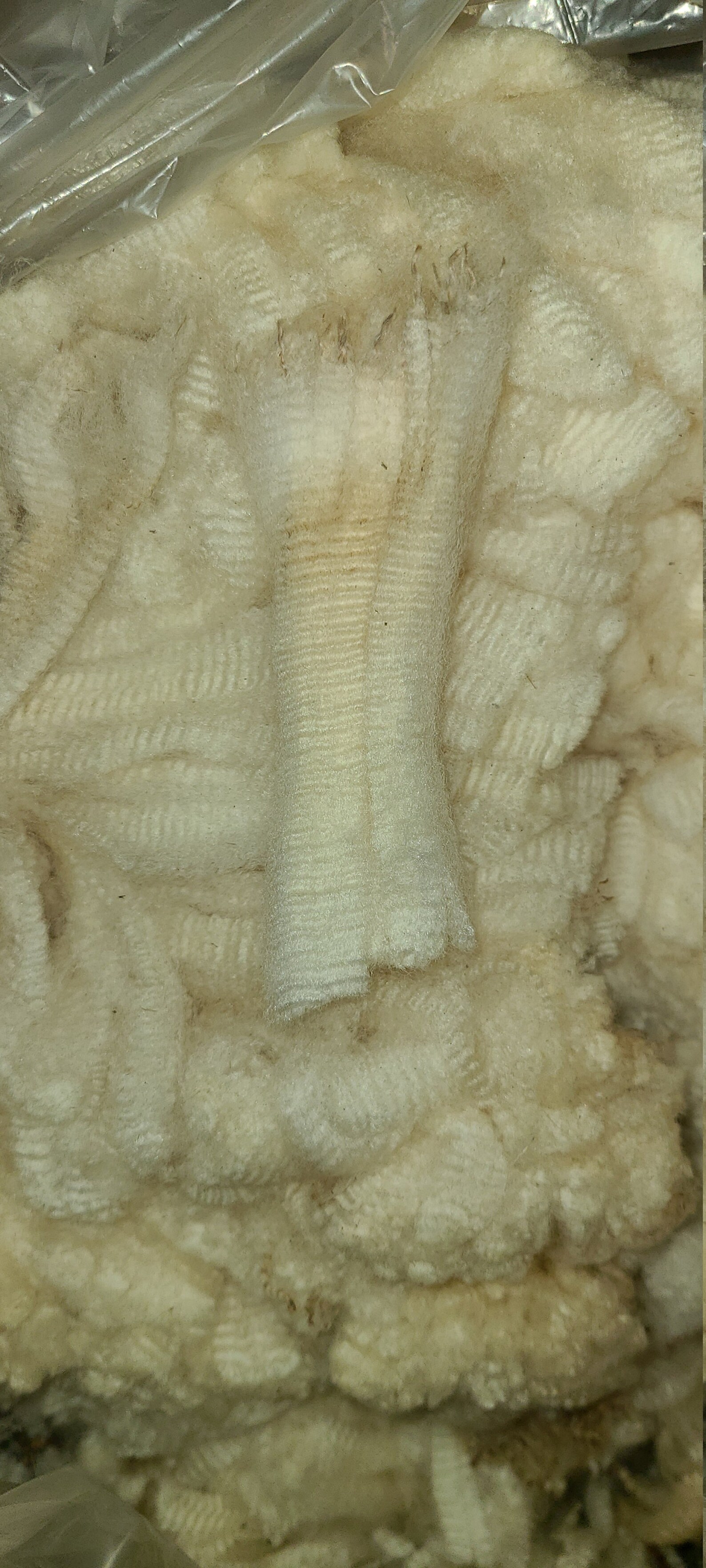 Raw Merino Wool Etsy