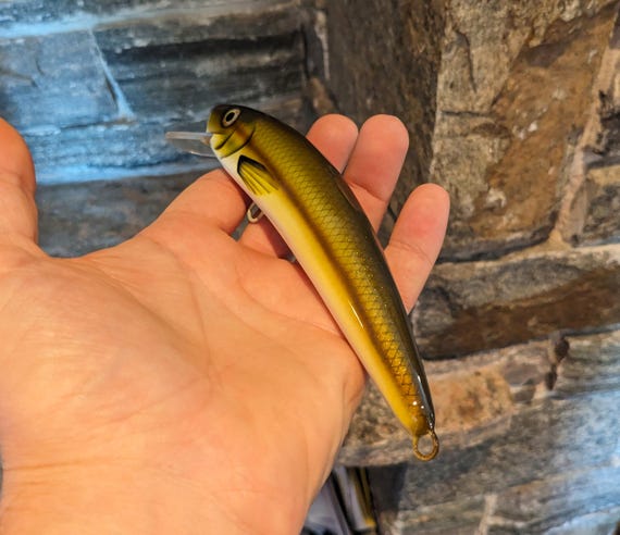 Crankbaits pour la pêche Jerkbait Wobblers Crankbait
