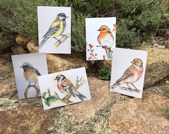 Watercolor postcard set of native birds