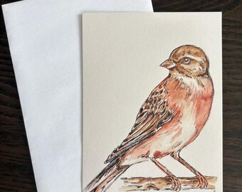 Tarjeta postal A6 con pintura de acuarela de un pinzón.