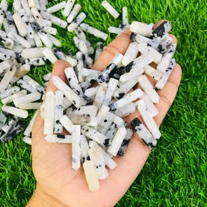 May include: A large collection of white and black moonstone crystal points. The points are all roughly the same size and shape, and they are arranged in a pile in a person's hand.