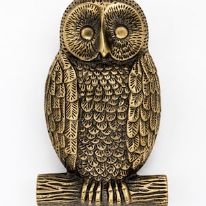 May include: A brass-toned metal door knocker shaped like an owl perched on a branch. The owl features detailed, textured feather patterns across its body, wings, and head, with two circular eyes and a sharp beak, all rendered in a metallic finish.