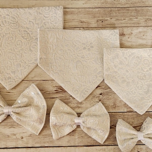 Wedding Collar Danas and Bow Tie Collection