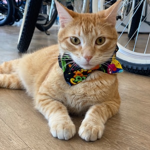 Cat Collar Bow Tie Fun Print