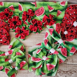 Summer Fun Print Collar Accessory Collection