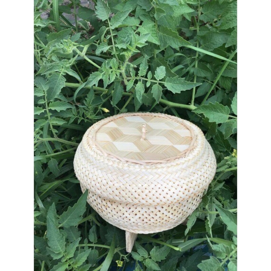 Thai Sticky Rice Steamer Natural Bamboo Weaving Basket Sticky Etsy