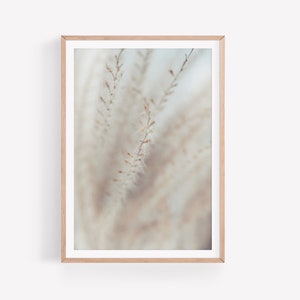 Schilf Kunstdruck | Digitaler Download | Spring | Poster | Wall Art | Pampas | Photography | Makro | Poster