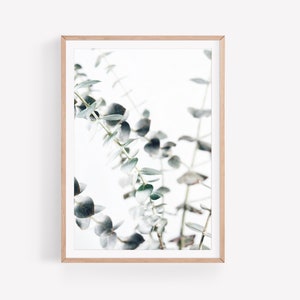 Eukalyptus Poster | Digitaler Download | Botanical | Poster | Print | Photography Eucalyptus