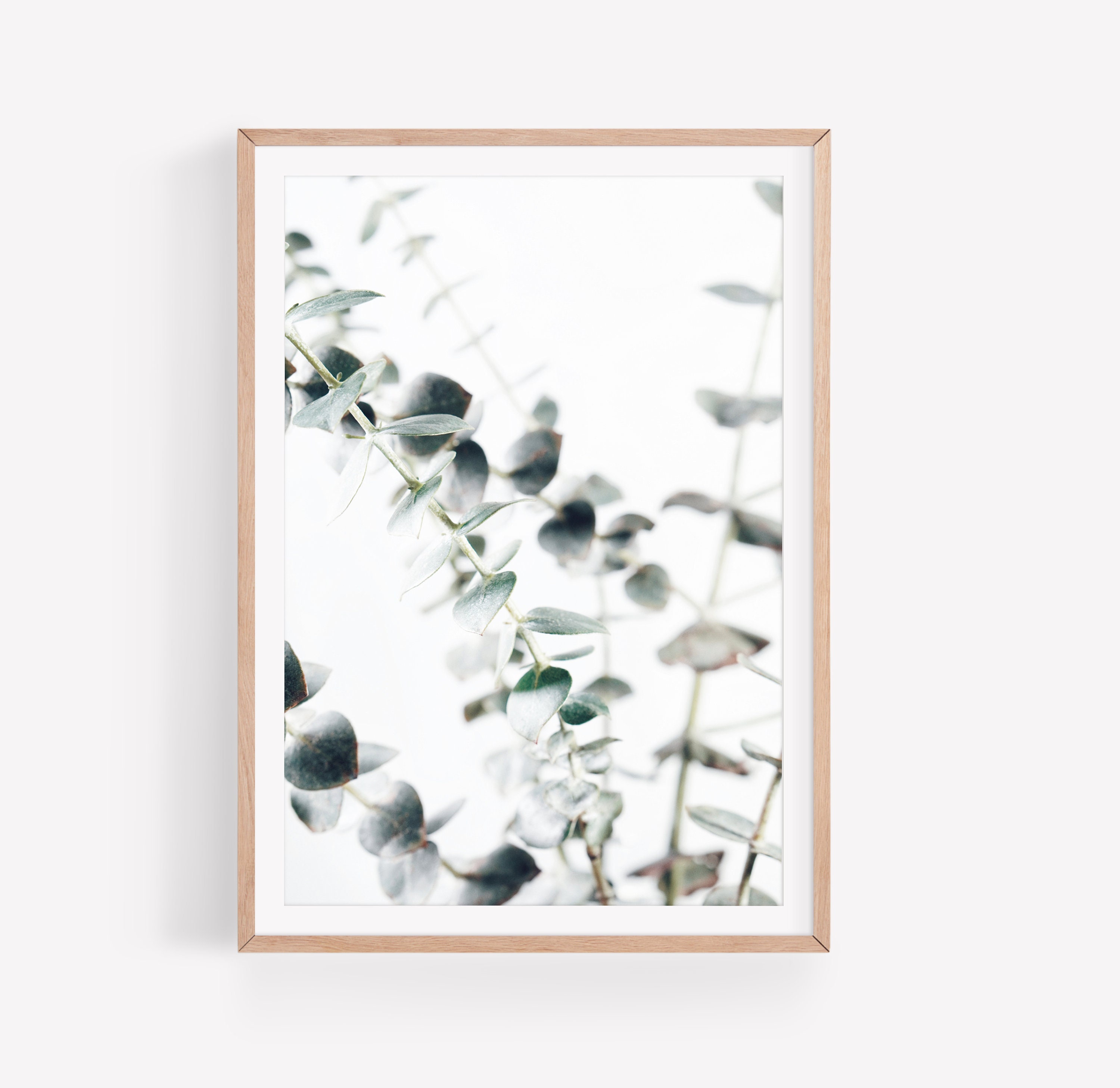 Eukalyptus Poster Digitaler Download Botanical Poster Etsy UK