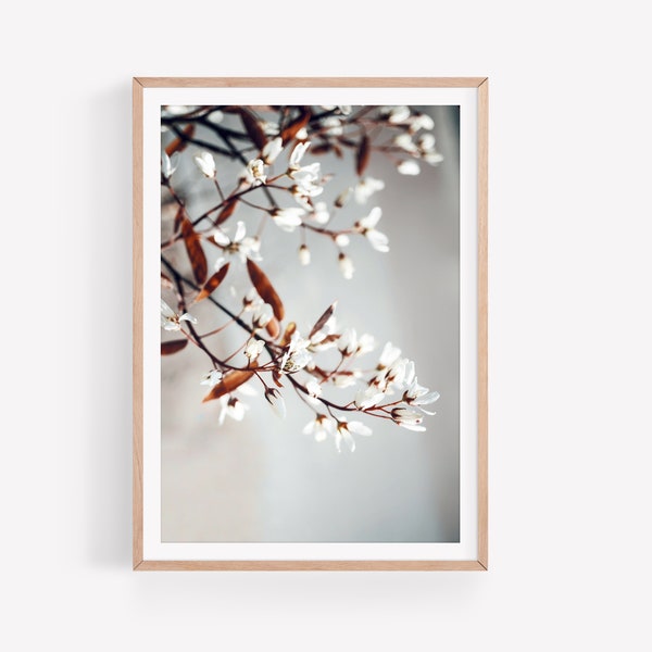 Weiße Blüten Kunstdruck | Fotografie | Digitaler Download | Spring | Poster