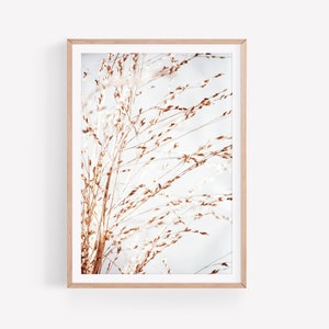 Gräser Poster | Digitaler Download | Botanical | Poster | Print | Photography Plant