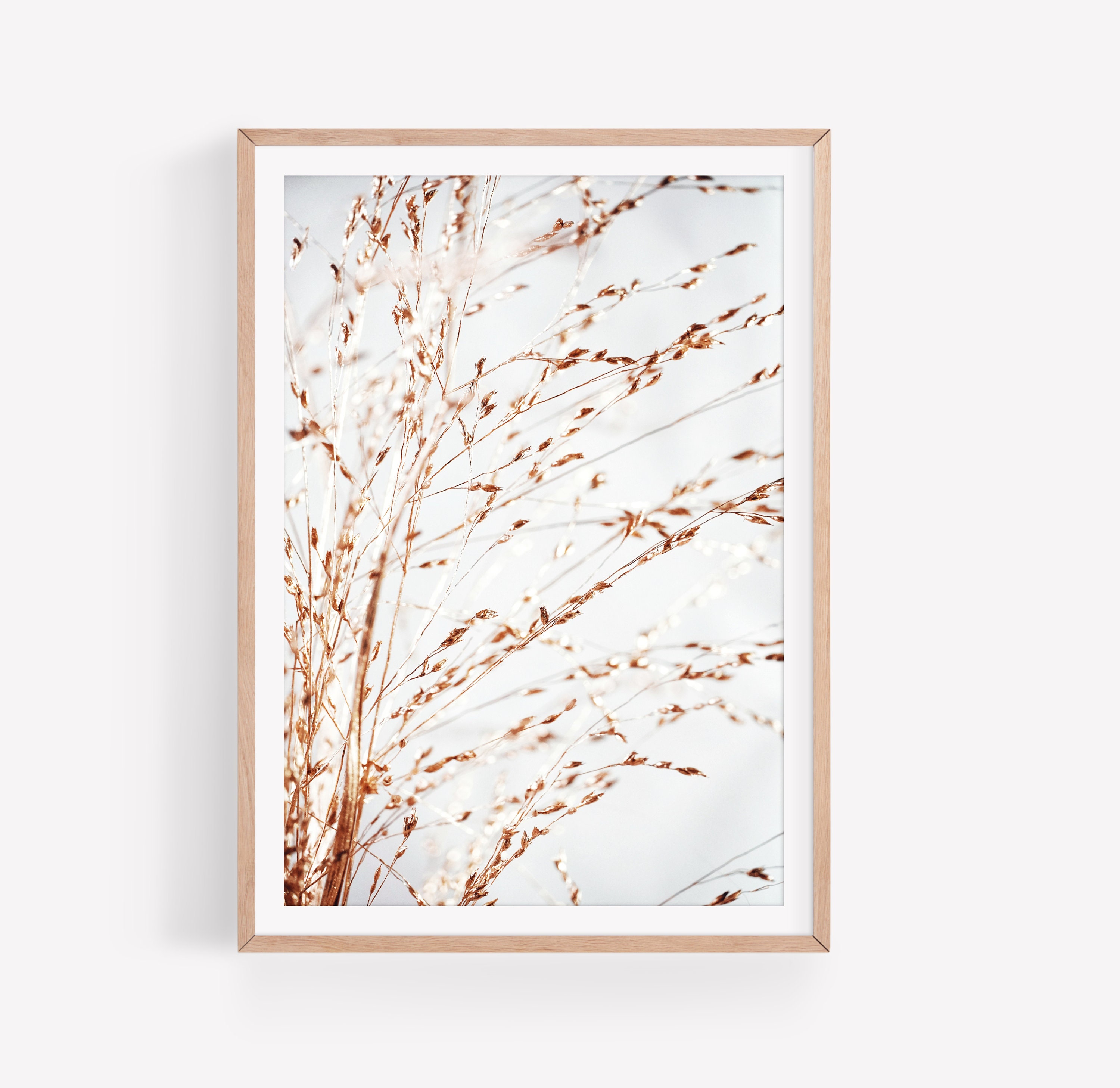 Gräser Poster | Digitaler Download | Botanical | Poster | Print ...