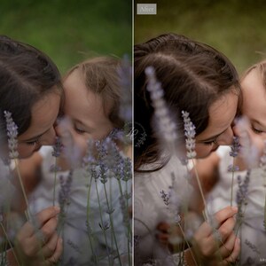 May include: A tender moment captured between a mother and child, their faces close, surrounded by soft lavender blooms. The image is a portrait, with a blurred background of green foliage, creating a sense of intimacy and warmth. The photo is a before and after comparison.