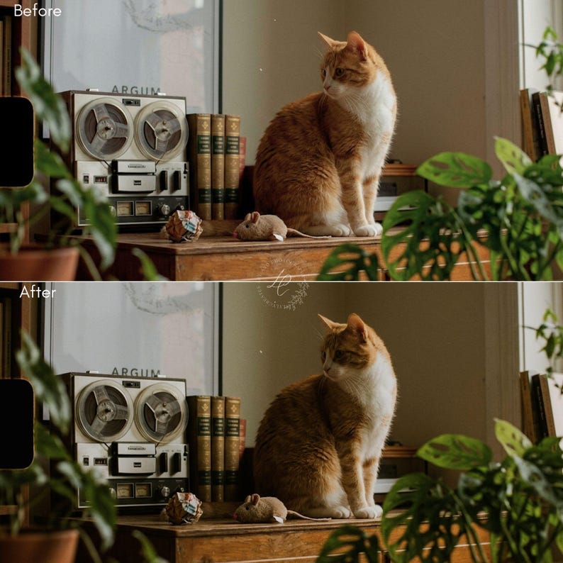 May include: An orange and white cat sits on a wooden surface next to a toy mouse and a vintage reel-to-reel tape recorder. Books and potted plants are also visible. The cat is looking to the side.