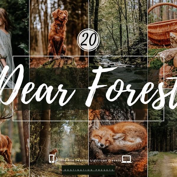 20 FOREST Lightroom Presets Woodlands Presets for Instagram Blogger Moody Green Presets Outdoor Nature Presets Spring Presets Landscape Wood