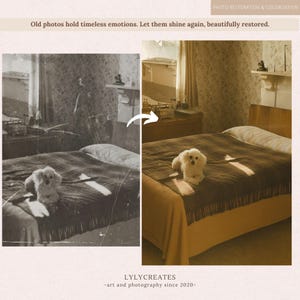 Best Photo Restoration & Colorization Service, Restore Old Photos, Repair Damaged Pictures, Improve Photo Quality, Vintage Photo, Fix Damage image 8