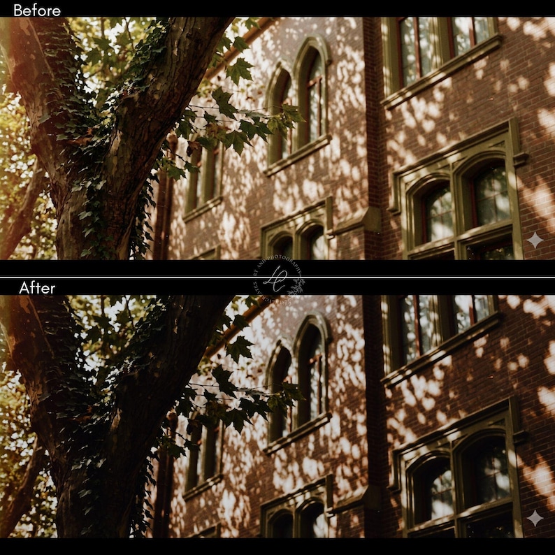May include: A before and after image of a building with arched windows and a brick facade. The building is partially obscured by a tree with green leaves and vines. The image is in warm tones, with sunlight casting shadows.