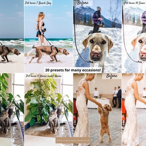 May include: A collage of before and after images showcasing 20 presets for pet lovers. The presets enhance photos of dogs and cats in various settings, including a beach, snowy landscape, and a home interior. The text "20 presets for many occasions!" is displayed in the center of the collage.