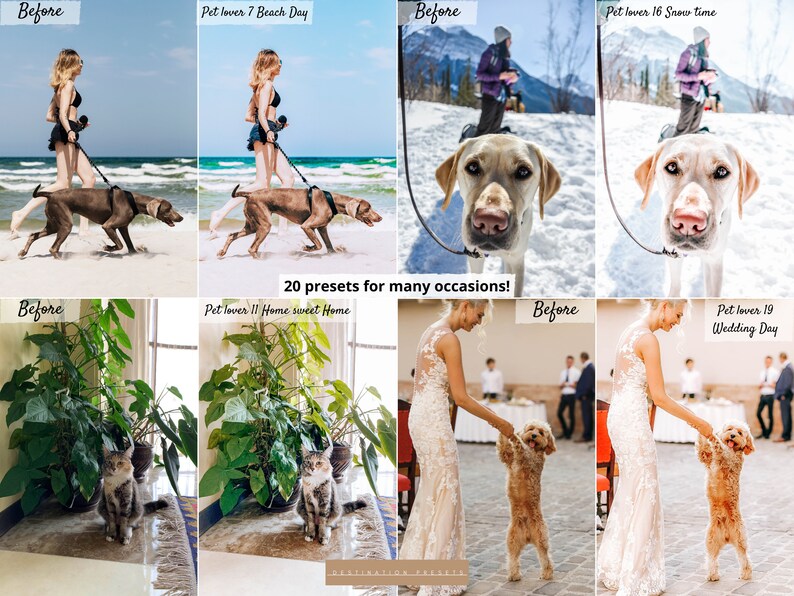 May include: A collage of before and after images showcasing 20 presets for pet lovers. The presets enhance photos of dogs and cats in various settings, including a beach, snowy landscape, and a home interior. The text "20 presets for many occasions!" is displayed in the center of the collage.
