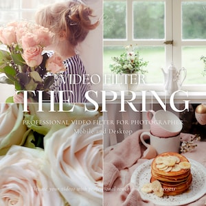 350 SPRING Luts Video Filter Bundle, Aesthetic Filter for Instagram Influencer, Bright Filter, Video Color Grading for Blogger, Premiere Pro