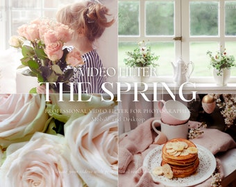 350 SPRING Luts Video Filter Bundle, Aesthetic Filter for Instagram Influencer, Bright Filter, Video Color Grading for Blogger, Premiere Pro