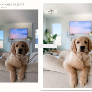 22 LIGHT AND AIRY Lightroom Mobile & Desktop Presets, Bright Clean Instagram Presets, Natural Photo Filter, Aesthetic Preset for Influencer image 6