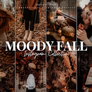 20 MOODY FALL Lightroom Mobile & Desktop Presets, Dark Aesthetic Presets for Instagram, Autumn Family Presets, Moody Presets, Fall Filter