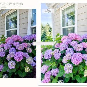 22 LIGHT AND AIRY Lightroom Mobile & Desktop Presets, Bright Clean Instagram Presets, Natural Photo Filter, Aesthetic Preset for Influencer image 9
