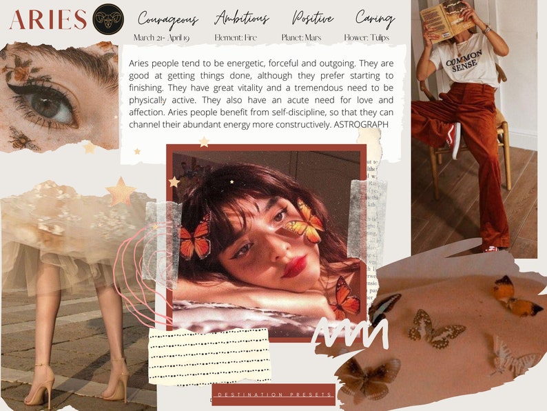 ARIES Presets Lightroom Zodiac Presets Autumn Presets Fall image 3