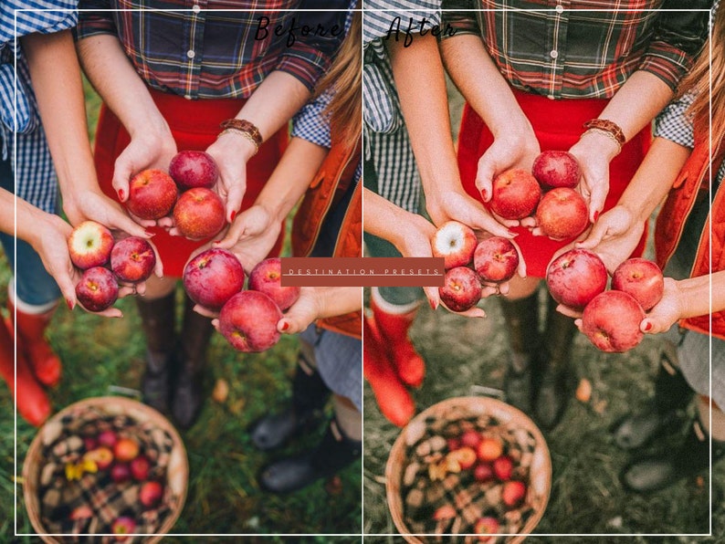 ARIES Presets Lightroom Zodiac Presets Autumn Presets Fall image 6