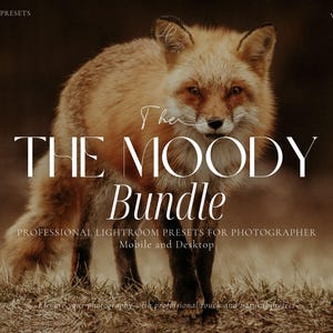 700+ MOODY BUNDLE Lightroom Presets, Earthy Influencer Presets, Rustic Instagram Filter, Boho Presets, Warm Blogger Presets, Outdoor Presets