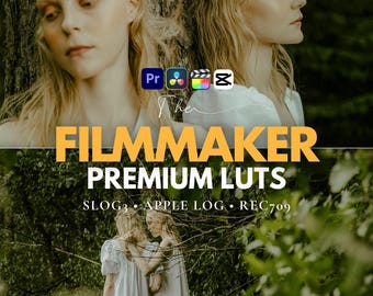 Paquete de LUT para cineastas, LUT de gradación de color cinematográfica para Sony S-Log3, LUT de video Apple Log/Film Look para iPhone, CapCut, Premiere Pro
