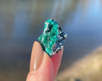 Funky Dioptase Cluster on Shattuckite