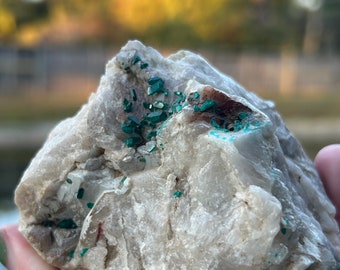 Dioptase crystals on Quartz