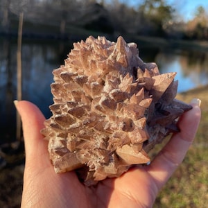 Großer Hundezahn Calcit Exemplar