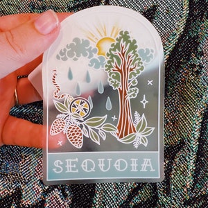 Parco nazionale Sequoia - adesivo trasparente - bottiglia d'acqua - auto