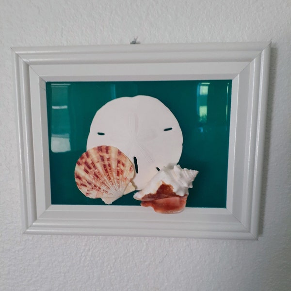Framed Shell Art Etsy