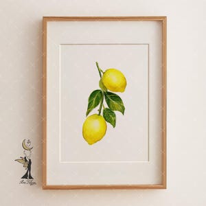 Lemon Wall Art Print, Watercolor Lemon Painting, Citrus Kitchen Decor, Italian Fruit Art, Farmhouse Summer Print, Yellow Kitchen Wall Art